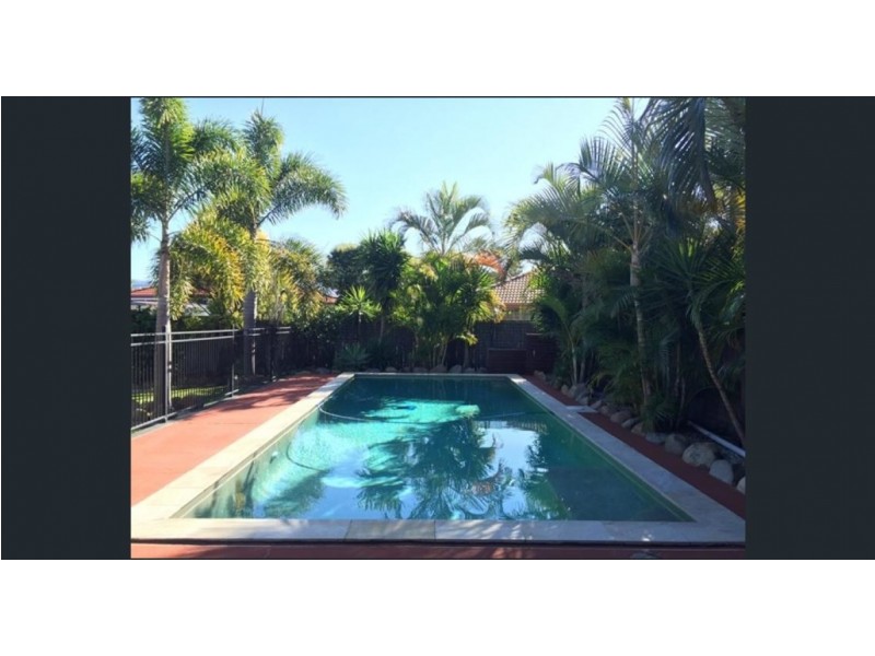 3 Hollyfern Court, Oxenford QLD 4210