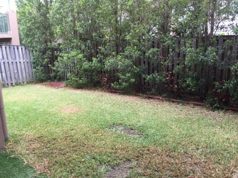 13/1-3 Carnarvon Court, Oxenford QLD 4210