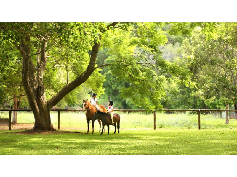 67 Upper Ormeau Road, Kingsholme QLD 4208