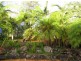17 Antipodes Close, Pacific Pines QLD 4211