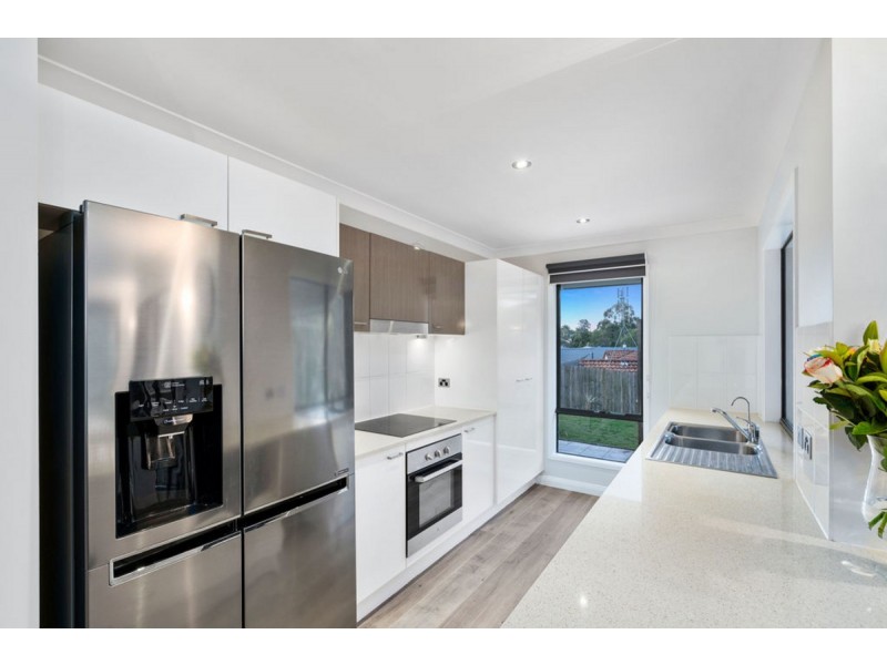 54 Davis Cup Court, Oxenford QLD 4210