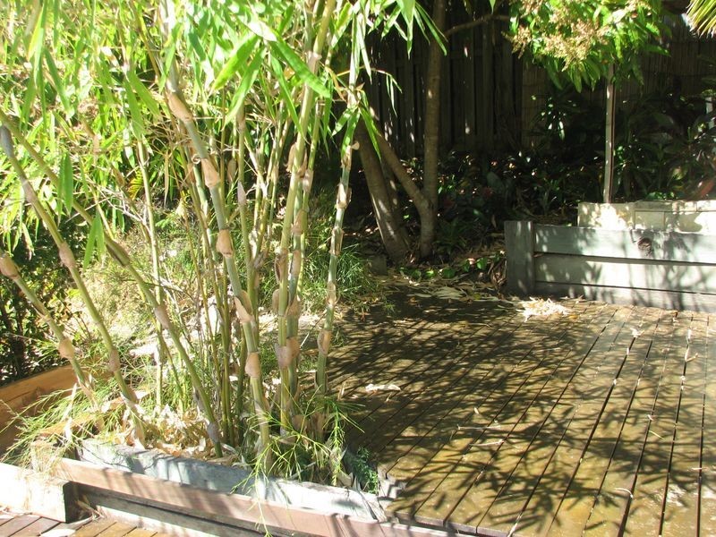 71 Pacific Pines Boulevard, Pacific Pines QLD 4211