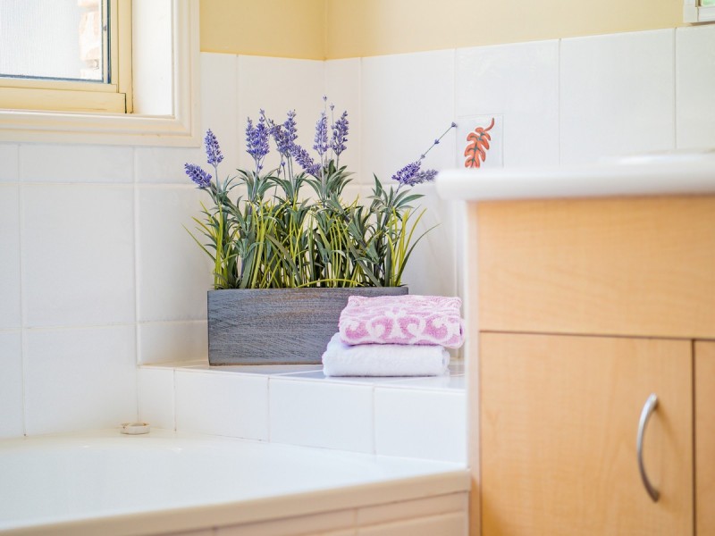 6 Acton Place, Upper Coomera QLD 4209