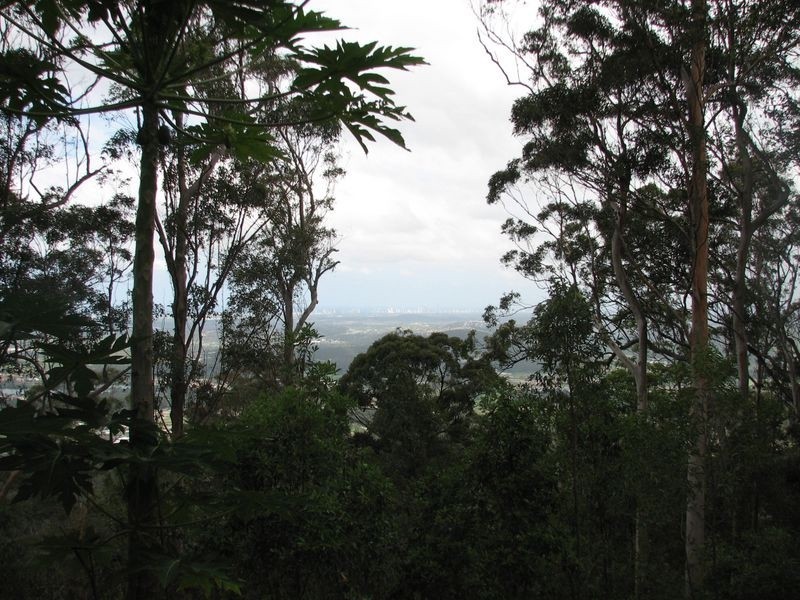 214 Wongawallan Drive, Wongawallan QLD 4210