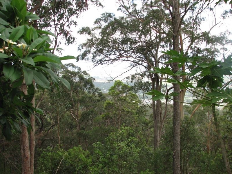 214 Wongawallan Drive, Wongawallan QLD 4210