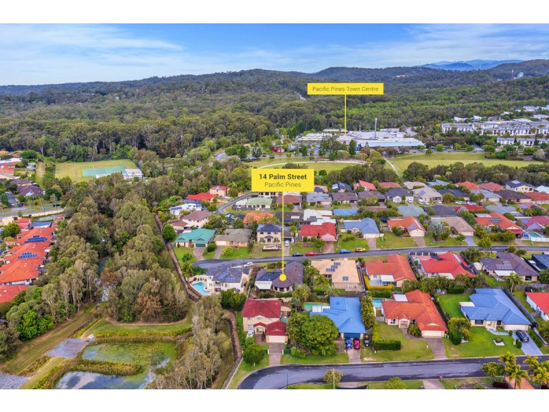 14 Palm Street, Pacific Pines QLD 4211