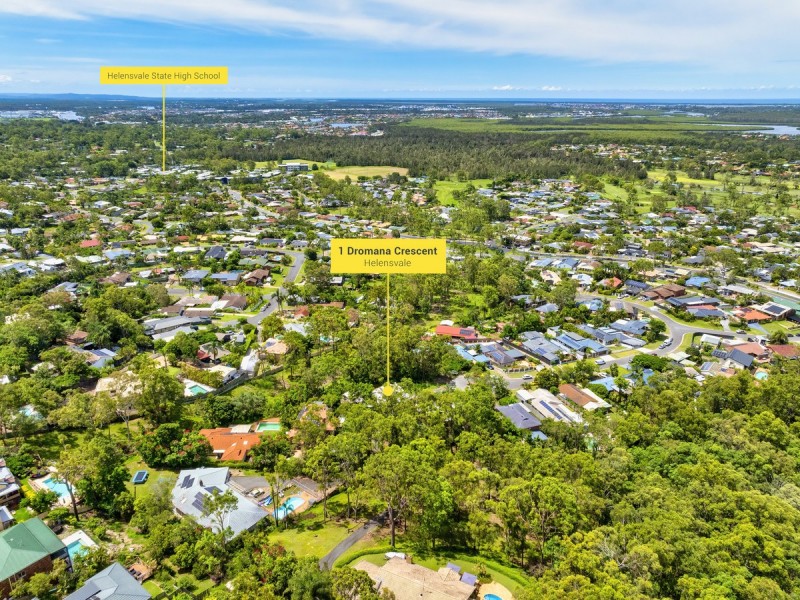1 Dromana Crescent, Helensvale QLD 4212