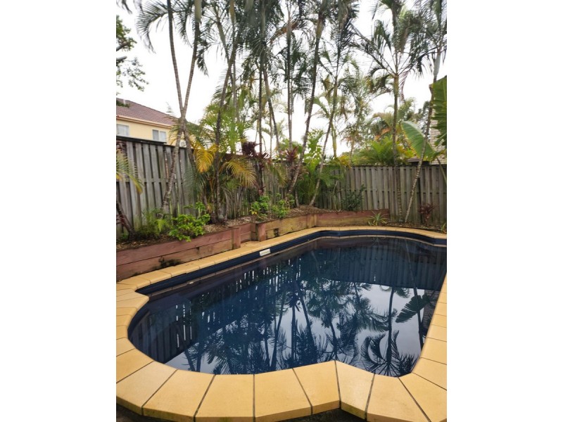2/16 Crosby Avenue, Pacific Pines QLD 4211