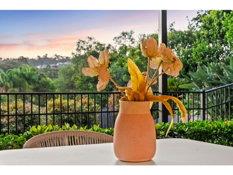 6 Suva Place, Pacific Pines QLD 4211