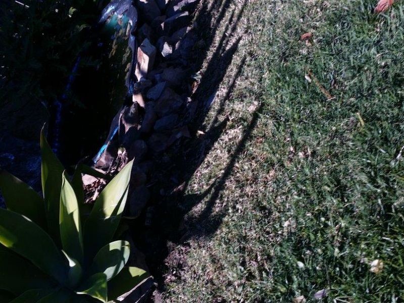 16 Huxley Court, Pacific Pines QLD 4211