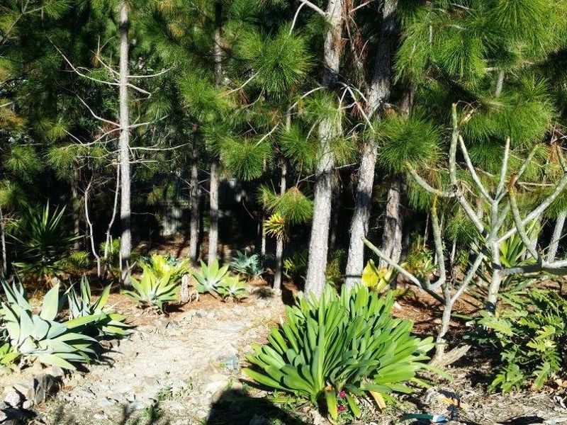 16 Huxley Court, Pacific Pines QLD 4211