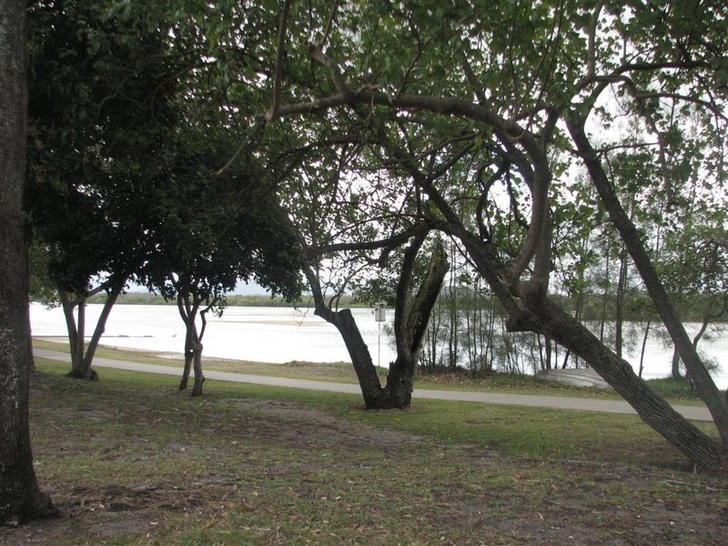 34 Allinga Street, Coombabah QLD 4216