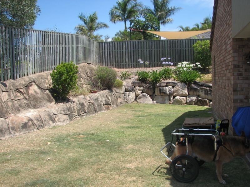 42 Catchlove Street, Maudsland QLD 4210