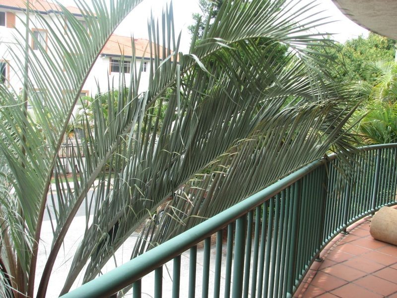 6/40 Little Norman Street, Southport QLD 4215