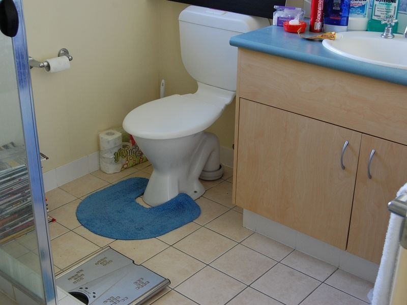 3 Elimbah Street, Pacific Pines QLD 4211