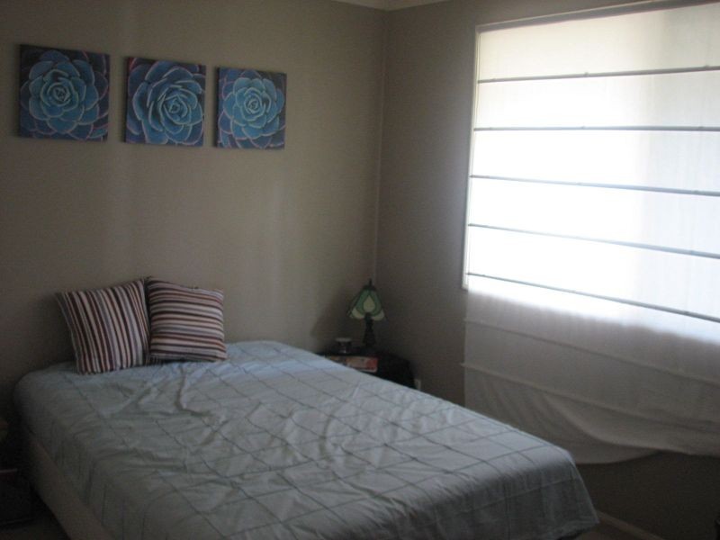 19 Crestridge Street, Oxenford QLD 4210