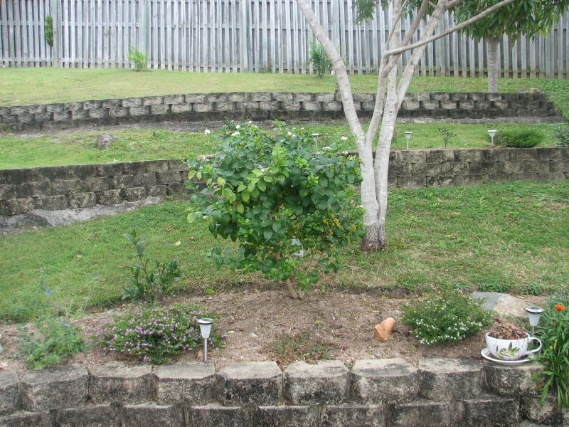 34 Easter Crescent, Pacific Pines QLD 4211