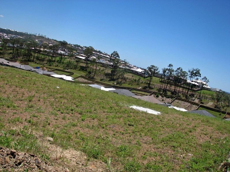 25 Mcauley Street, Pacific Pines QLD 4211