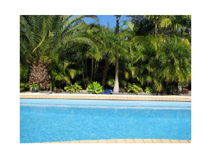 Pacific Pines QLD 4211