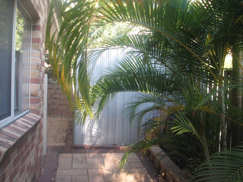 97 Pacific Pines Boulevard, Pacific Pines QLD 4211