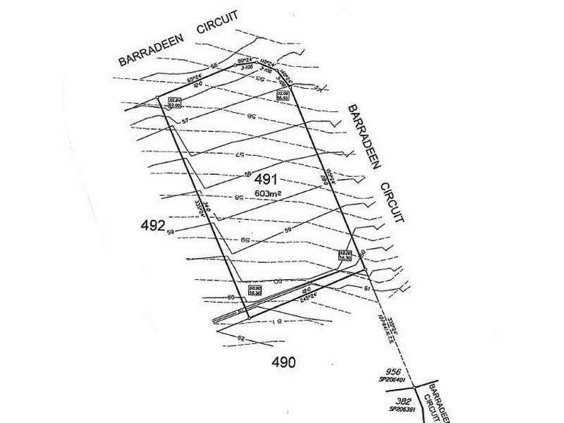 Lot 491 Barradeen Circuit, Pacific Pines QLD 4211