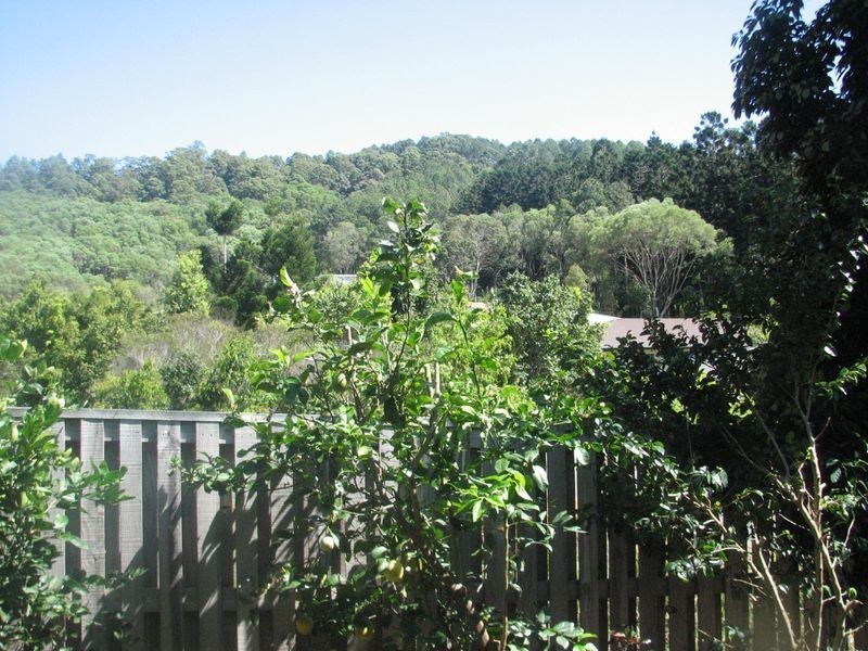 6 Lambert Drive, Maudsland QLD 4210