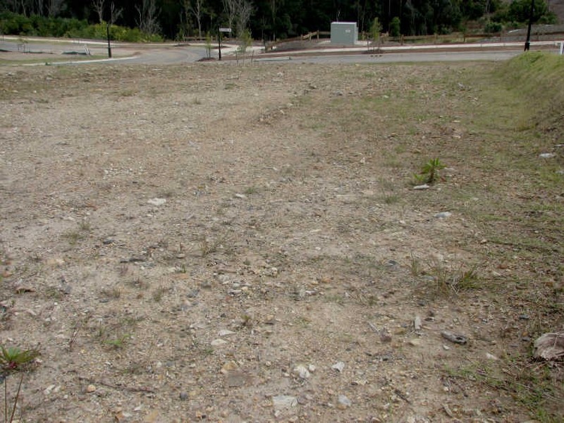 Pacific Pines QLD 4211