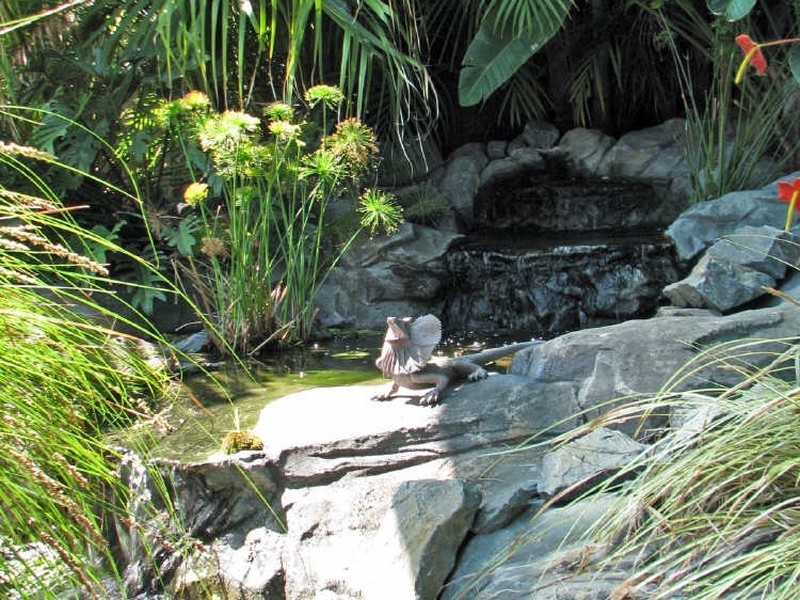 38 Manra Way, Pacific Pines QLD 4211