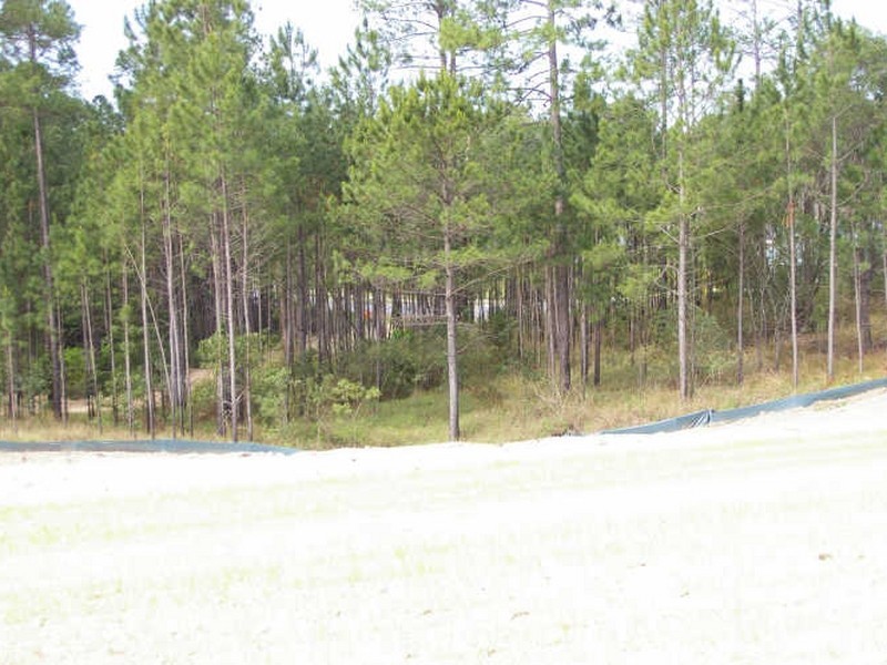Lot 42 Lomandra Drive, Maudsland QLD 4210