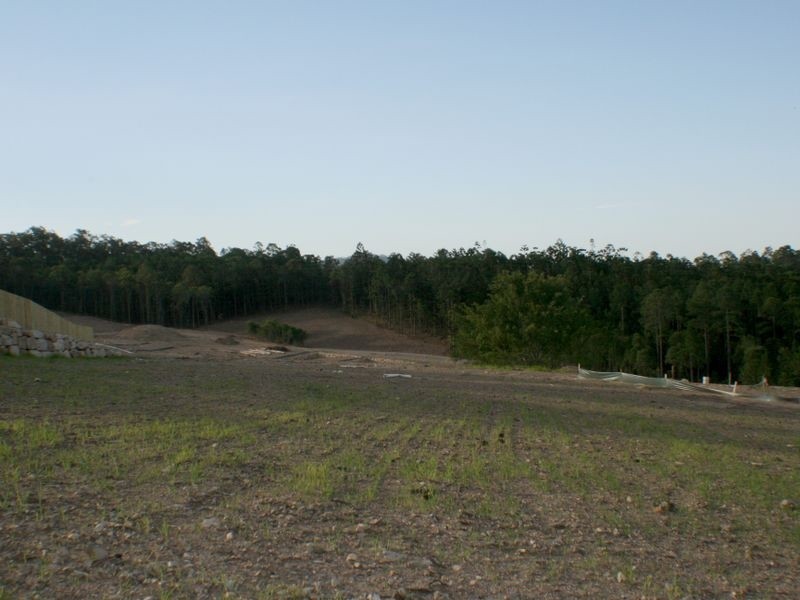 Lot 41 Lomandra Drive, Maudsland QLD 4210