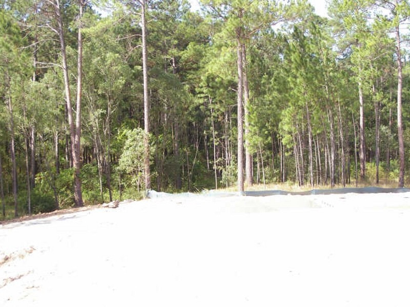 Lot 41 Lomandra Drive, Maudsland QLD 4210