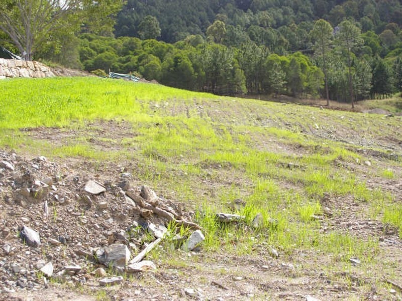 Lot 9 Lomandra Drive, Maudsland QLD 4210