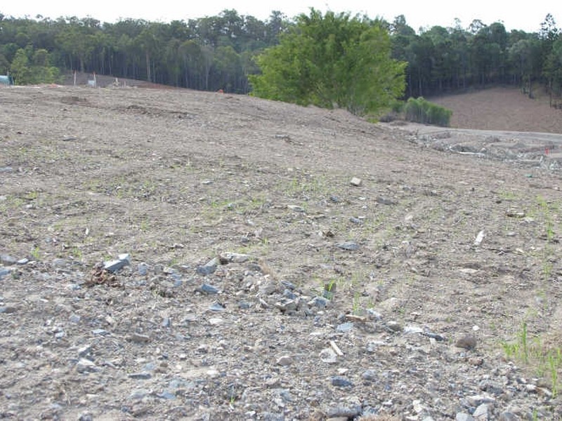 Lot 4 Felling Drive, Maudsland QLD 4210