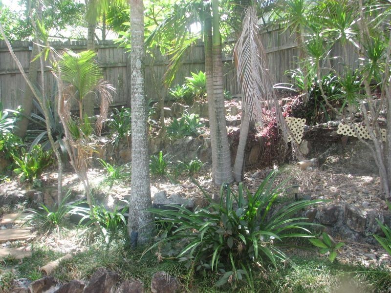 17 Pinehill Drive, Oxenford QLD 4210