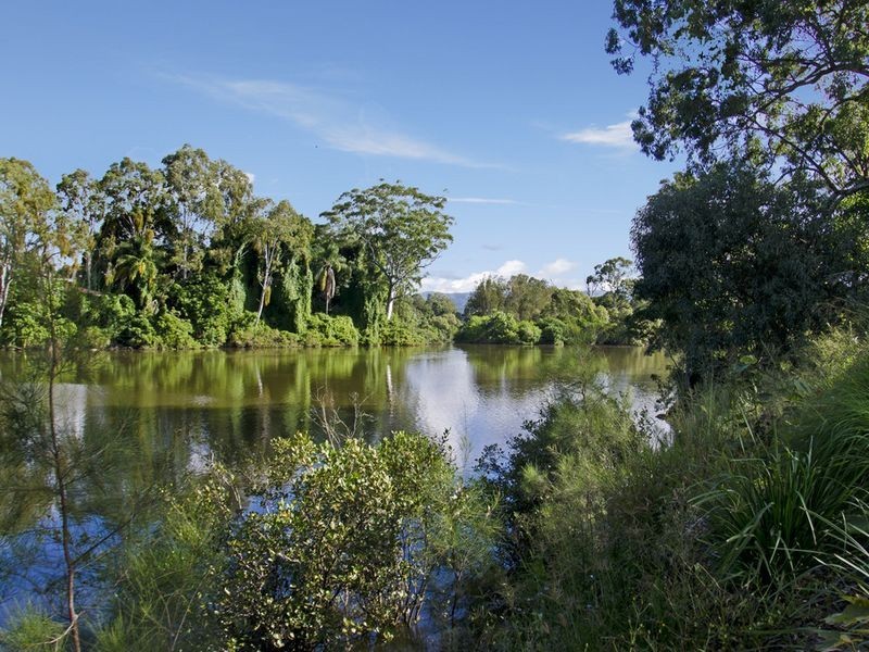 29 Riverwood Drive, Ashmore QLD 4214