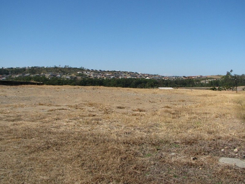 19 Maloney Crescent, Maudsland QLD 4210