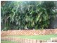 2 Napido Lane, Pacific Pines QLD 4211
