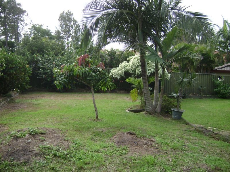 40 Galapagos Way, Pacific Pines QLD 4211