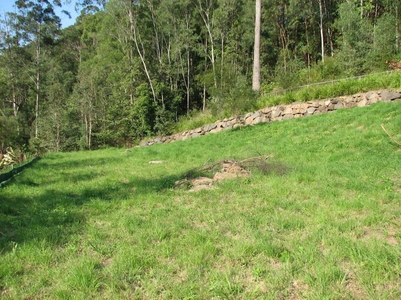 11 Lowe Court, Maudsland QLD 4210