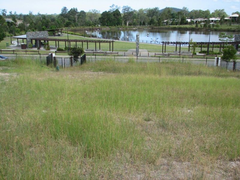 42 Rose Valley, Upper Coomera QLD 4209