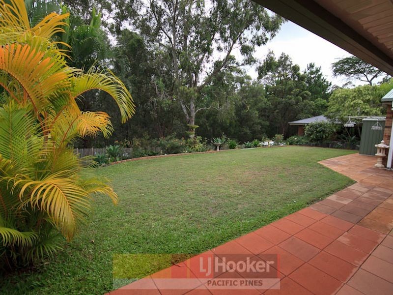 11 Pinedale Street, Oxenford QLD 4210