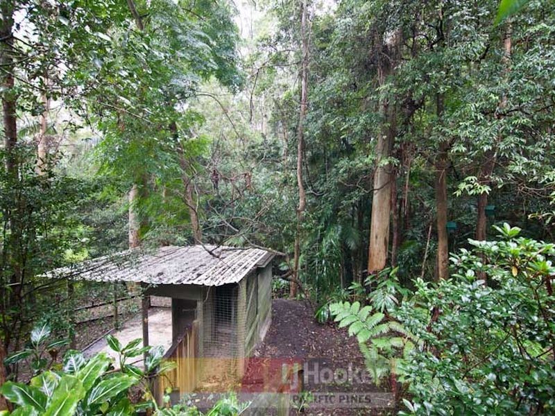 13 Kinabalu Drive, Eagle Heights QLD 4271