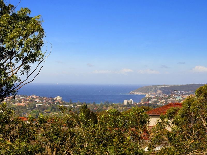 17 Cooper Close, Beacon Hill NSW 2100