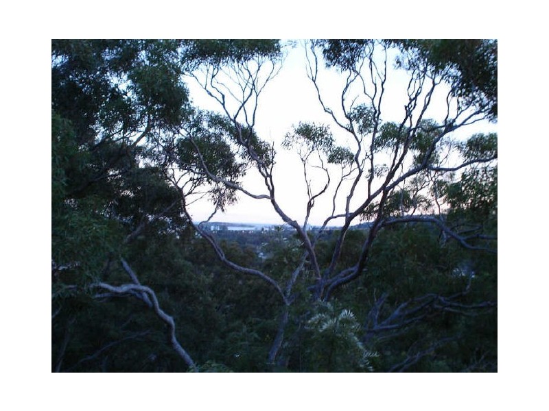 North Narrabeen NSW 2101