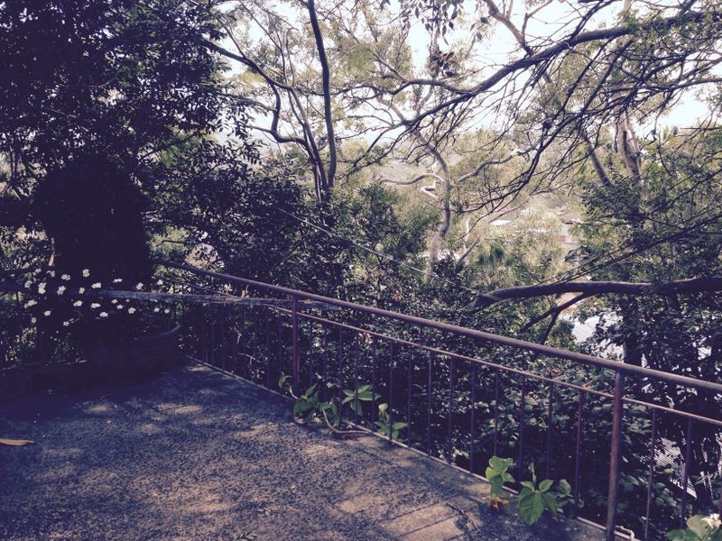 67 Penrith Avenue, Wheeler Heights NSW 2097