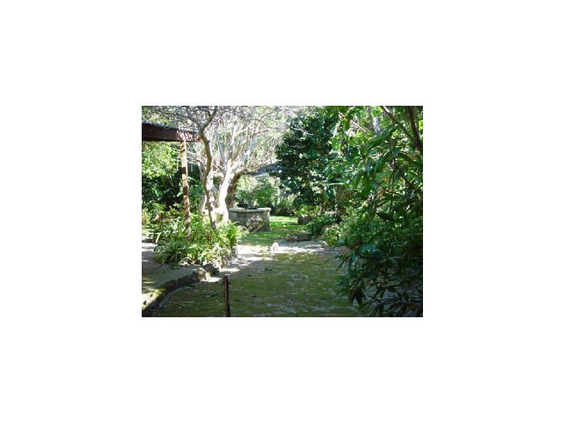 14 Berith Street, Wheeler Heights NSW 2097
