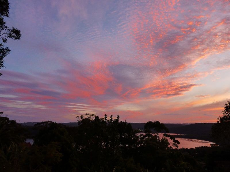 79 Woorarra Avenue, North Narrabeen NSW 2101