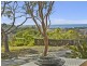 17 & 19 Burne Avenue, Dee Why NSW 2099