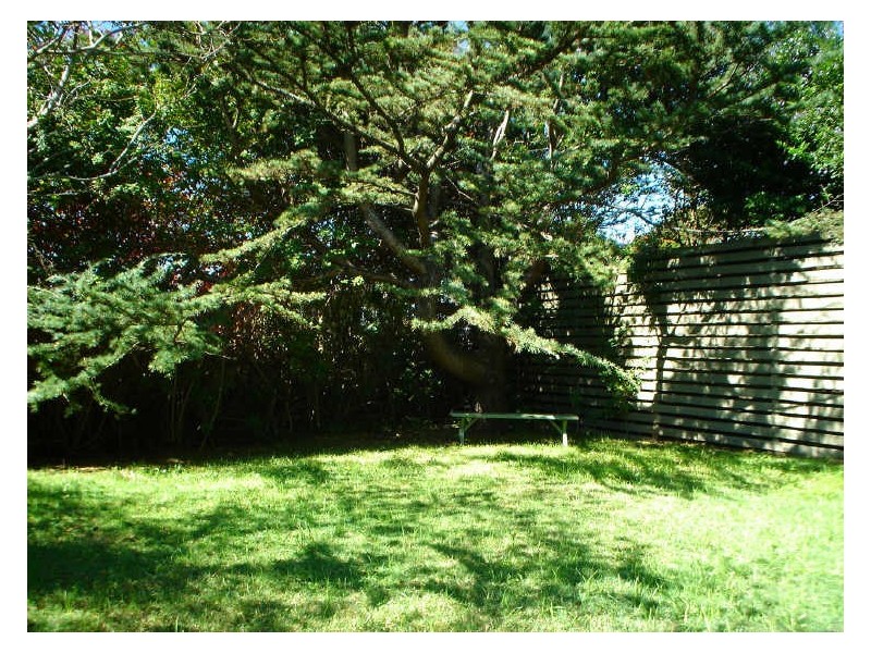 17 Hay Street, Collaroy NSW 2097