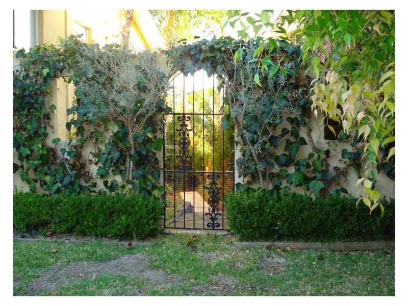 77 Suffolk Avenue, Collaroy NSW 2097